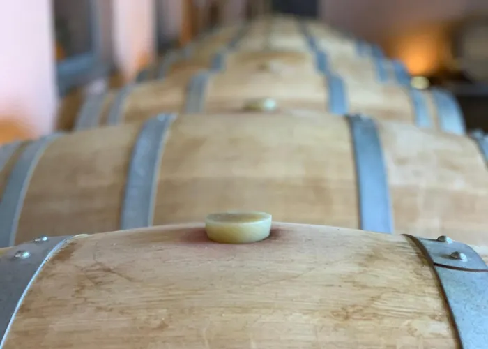 Domaine Chez Les Rois Berneuil (Charente)