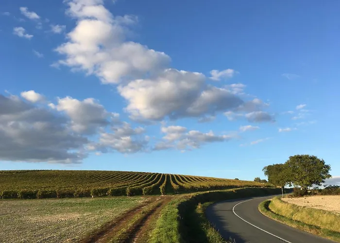 Bed & Breakfast Domaine Chez Les Rois